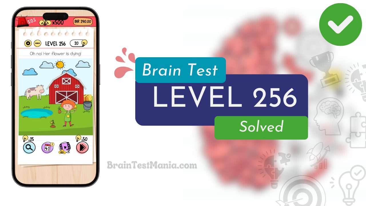 Solved Brain Test Level 256 Answer